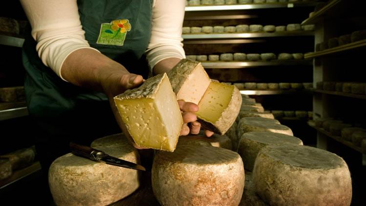 Tomme de brebis du Tarn